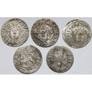 Zygmunt III Waza, Grosz Wilno i Gdańsk 1625-1626 - zestaw (5szt)