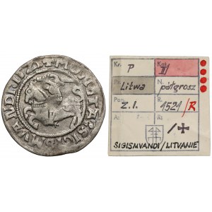 Zygmunt I Stary, Półgrosz Wilno 1521 - SigismVAndi - ex. Kałkowski