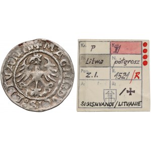 Zygmunt I Stary, Półgrosz Wilno 1521 - SigismVAndi - ex. Kałkowski