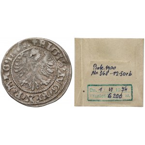 Zygmunt II August, Półgrosz Wilno 1545 - DVCAT9 - ex. Kałkowski