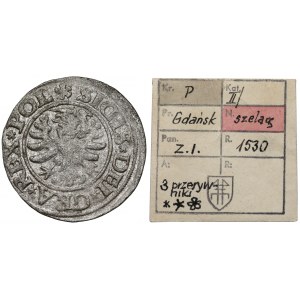 Zygmunt I Stary, Szeląg Gdańsk 1530 - ex. Kałkowski