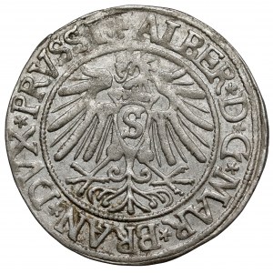 Prusy, Albrecht Hohenzollern, Grosz Królewiec 1538 - PRVSSI