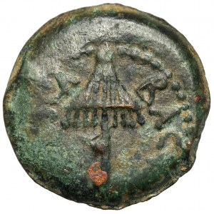 Judaea, Agryppa I (37-44 n.e.) Prutah, Jerozolima