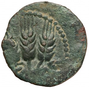 Judaea, Agryppa I (37-44 n.e.) Prutah, Jerozolima
