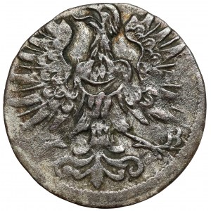 Ludwika, Greszel Brzeg 1673 CB - tarcze stylizowane