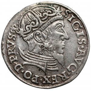 Zygmunt II August, Trojak Gdańsk 1557 - lilijka na Aw. - rzadki