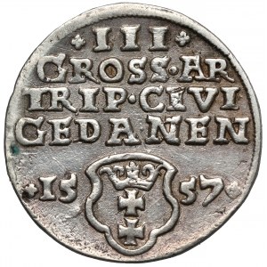 Zygmunt II August, Trojak Gdańsk 1557 - lilijka na Aw. - rzadki
