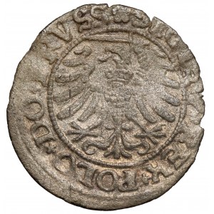 Zygmunt I Stary, Szeląg Elbląg 1531 - ex. Potocki