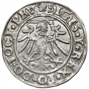 Zygmunt I Stary, Grosz Elbląg 1534 - piękny