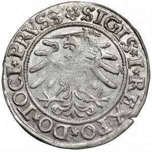 Zygmunt I Stary, Grosz Elbląg 1533 - pierwszy