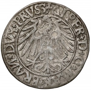 Prusy, Albrecht Hohenzollern, Grosz Królewiec 1544