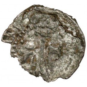 Władysław Opolczyk, Denar WIELUŃ (1371-1379) - ex. Jadwiga Zakrzewska-Kleczkowska