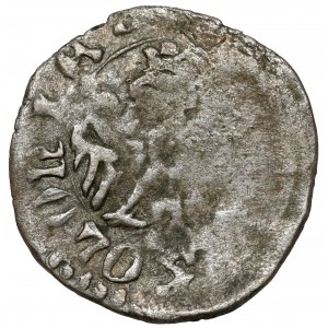 Kazimierz III Wielki, Denar Kalisz - łeb tura - ex. Jadwiga Zakrzewska-Kleczkowska