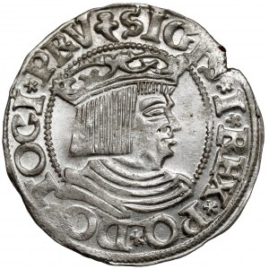Zygmunt I Stary, Grosz Gdańsk 1535 - PIĘKNY