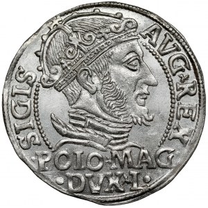 Zygmunt II August, Grosz na stopę polską 1547, Wilno