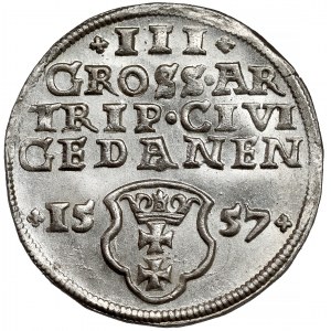 Zygmunt II August, Trojak Gdańsk 1557