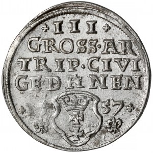 Zygmunt II August, Trojak Gdańsk 1557 - piękny