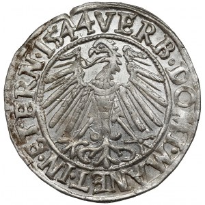 Śląsk, Fryderyk II, Grosz 1544, Legnica - piękny