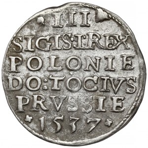 Zygmunt I Stary, Trojak Elbląg 1537 - rzadki rok