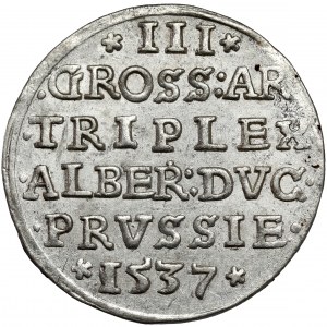 Prusy, Albrecht Hohenzollern, Trojak Królewiec 1537