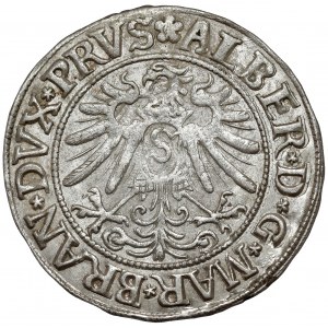 Prusy, Albrecht Hohenzollern, Grosz Królewiec 1533