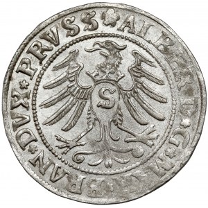 Prusy, Albrecht Hohenzollern, Grosz Królewiec 1531