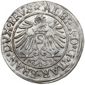 Prusy, Albrecht Hohenzollern, Grosz Królewiec 1535