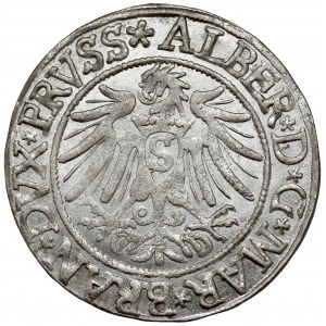 Prusy, Albrecht Hohenzollern, Grosz Królewiec 1537