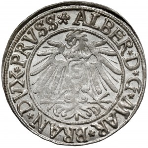 Prusy, Albrecht Hohenzollern, Grosz Królewiec 1538
