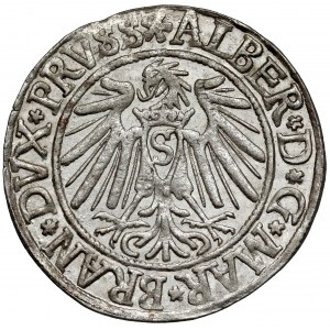 Prusy, Albrecht Hohenzollern, Grosz Królewiec 1539