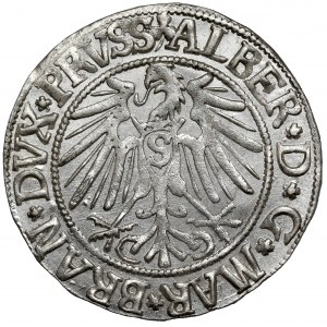 Prusy, Albrecht Hohenzollern, Grosz Królewiec 1543
