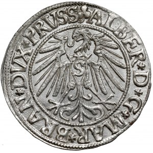 Prusy, Albrecht Hohenzollern, Grosz Królewiec 1543