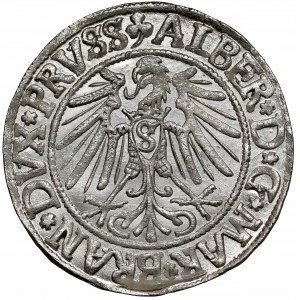 Prusy, Albrecht Hohenzollern, Grosz Królewiec 1542