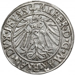 Prusy, Albrecht Hohenzollern, Grosz Królewiec 1541 - krótka broda