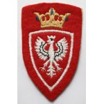 PSZnZ, Tablica z naszywkami - kolekcja w gablocie