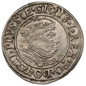Zygmunt I Stary, Grosz Toruń 1534 - w czepcu