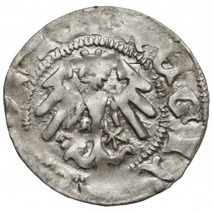 Władysław II Jagiełło, Półgrosz Kraków - typ 17 - znaki F‡ - BEZ podstawy