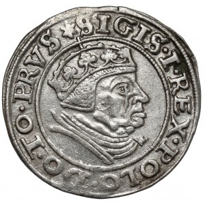 Zygmunt I Stary, Grosz Gdańsk 1539 - RZADKIE popiersie