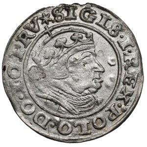 Zygmunt I Stary, Grosz Gdańsk 1540