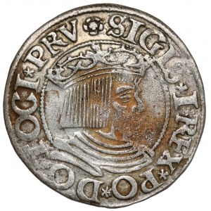 Zygmunt I Stary, Grosz Gdańsk 1534
