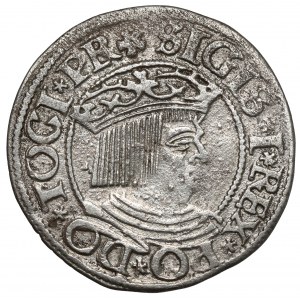 Zygmunt I Stary, Grosz Gdańsk 1534