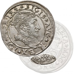 Zygmunt II August, Grosz na stopę litewską 1545, Wilno