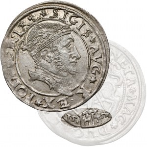 Zygmunt II August, Grosz na stopę litewską 1545, Wilno