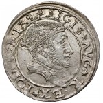 Zygmunt II August, Grosz na stopę litewską 1545, Wilno