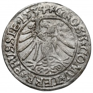 Zygmunt I Stary, Grosz Toruń 1534 - z włosami