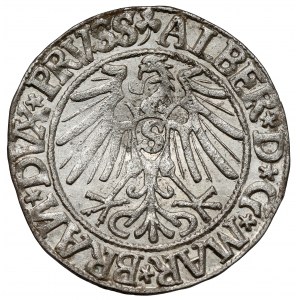 Prusy, Albert Hohenzollern, Grosz Królewiec 1544