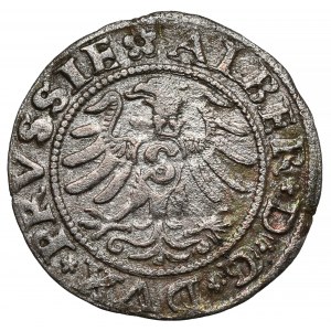 Prusy, Albrecht Hohenzollern, Szeląg Królewiec 1530