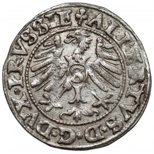 Prusy, Albrecht Hohenzollern, Szeląg Królewiec 1550