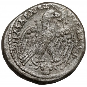 Makrynus (217-218 n.e.) Tetradrachma, Mezopotamia, Carrhae - głowa byka