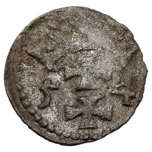 Zygmunt II August, Denar Gdańsk 1554